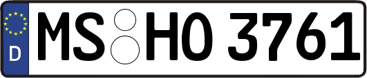MS-HO3761