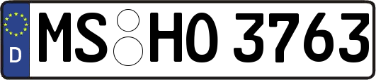 MS-HO3763
