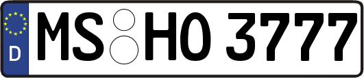 MS-HO3777