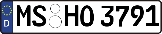 MS-HO3791