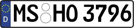 MS-HO3796