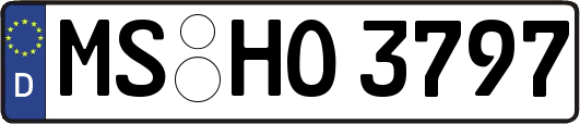 MS-HO3797