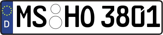 MS-HO3801