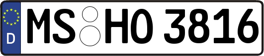 MS-HO3816