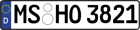 MS-HO3821