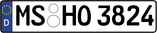 MS-HO3824