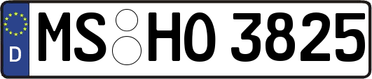 MS-HO3825