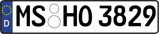 MS-HO3829