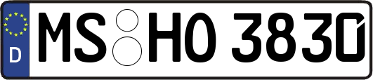 MS-HO3830
