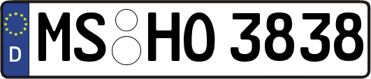 MS-HO3838