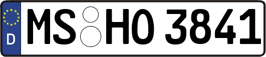 MS-HO3841