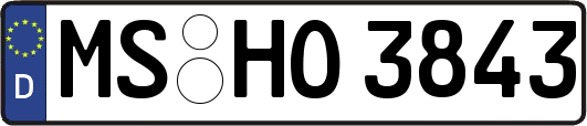 MS-HO3843