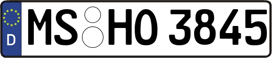 MS-HO3845
