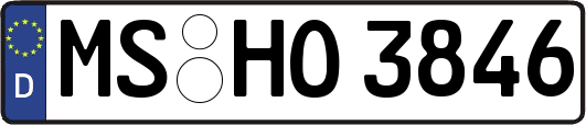 MS-HO3846
