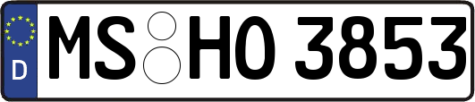 MS-HO3853