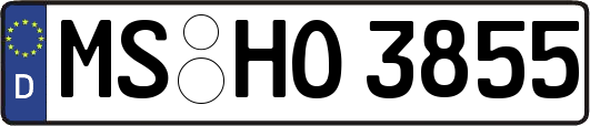 MS-HO3855
