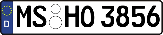 MS-HO3856