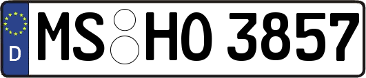 MS-HO3857