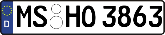 MS-HO3863