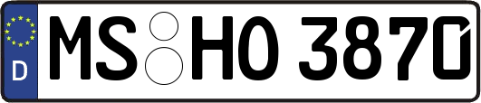 MS-HO3870