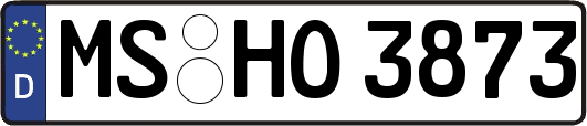 MS-HO3873