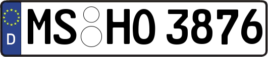 MS-HO3876