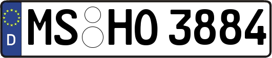 MS-HO3884