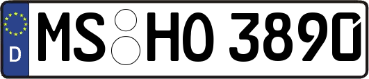 MS-HO3890