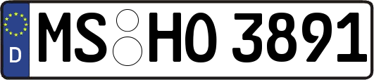 MS-HO3891