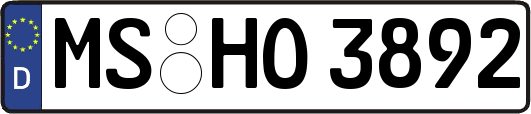 MS-HO3892
