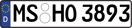 MS-HO3893