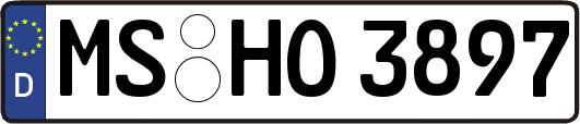 MS-HO3897