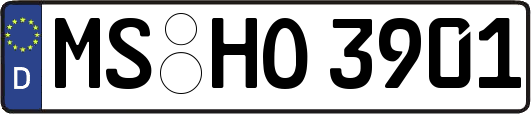 MS-HO3901