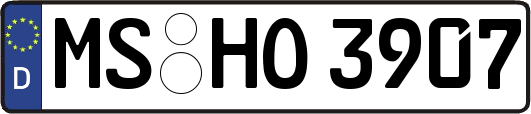MS-HO3907