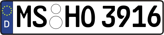 MS-HO3916