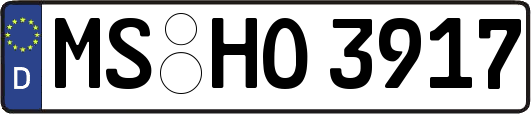 MS-HO3917