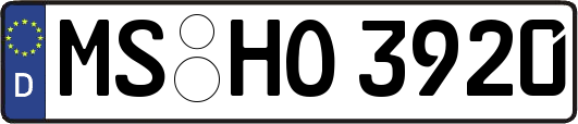 MS-HO3920