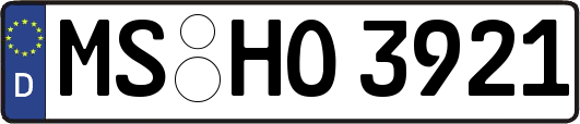 MS-HO3921