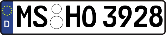 MS-HO3928