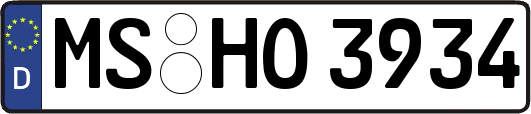 MS-HO3934