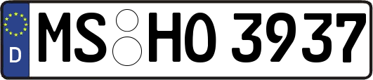 MS-HO3937