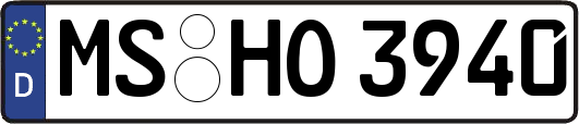 MS-HO3940