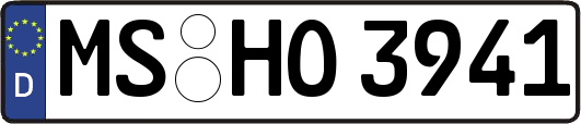 MS-HO3941