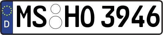 MS-HO3946