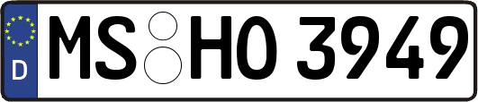 MS-HO3949