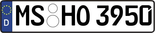 MS-HO3950