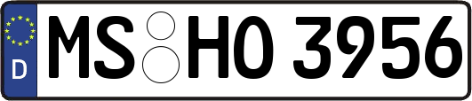 MS-HO3956