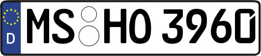 MS-HO3960