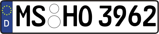 MS-HO3962