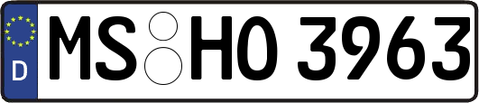MS-HO3963